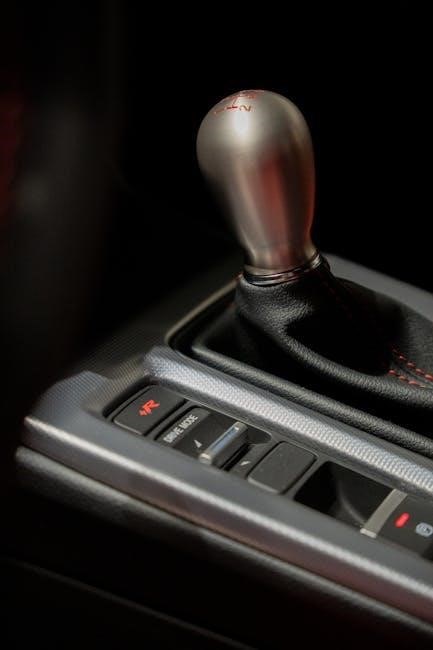 ohio driver’s manual 2024
