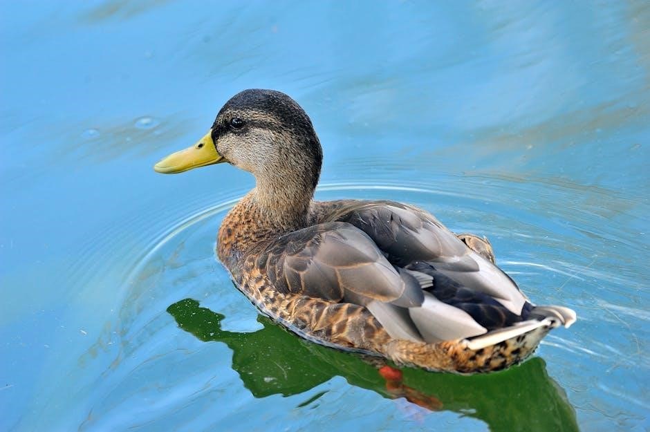 michigan duck hunting guides