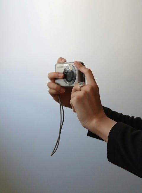 hoover h-dry 300 lite manual