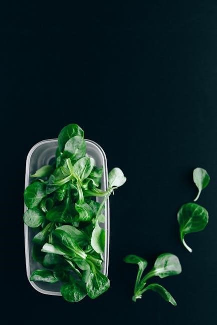 anti inflammatory foods list pdf