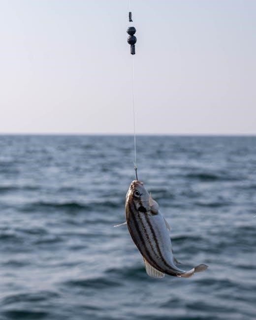 nj saltwater fishing regulations 2024 pdf