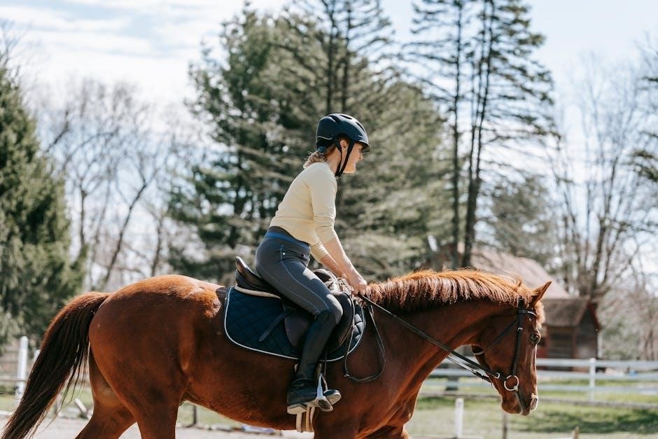 horse riding helmet size guide