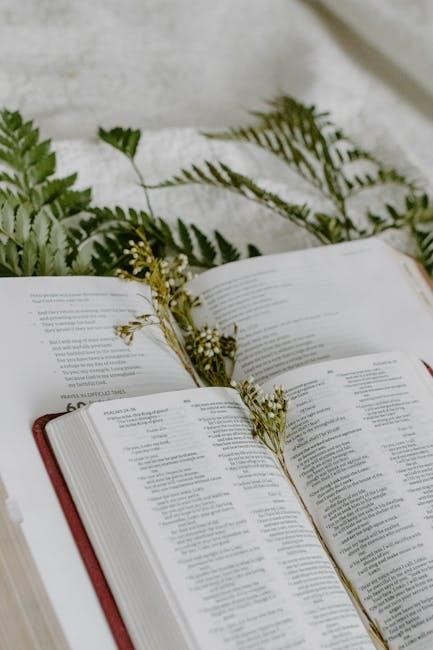 catholic bible reading plan pdf